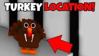 HOW TO FIND TURKEY LOCATIONS IN BROOKHAVEN RP!