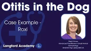 Otitis in the Dog Part 4: Case Example - Roxi