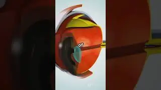 You&rsquo;ve NEVER Seen a Rainbow Like This! (Full Circle Secret)
