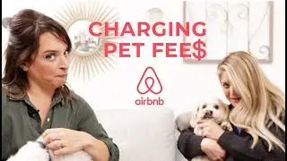 Airbnb, где разрешено проживание с домашними животными: как взимать плату