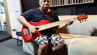 Preamp TB TECH captador Aguilar #aguilaramp #bass
