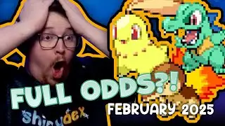 I did my first EVER full odds hunting!