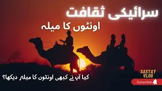My 4th Vlog | Camels Fight | Village Vlog | Vlogging | Vlogs | Sasty Vlogzs | Saraiki Culture