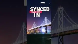 Synced In: How to Get Cheaper Car Insurance, Rainbow Whale, Oakland Universal Income [Mar. 25, 2021]