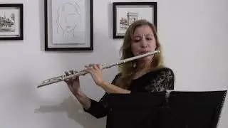La mu&ntilde;eca de trapo - Jos&eacute; Enrique Guzm&aacute;n - Flute and Harp