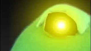 Safetyrecall.RESTRICTED.7.3.1999.mp4