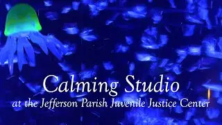 Calming Studio