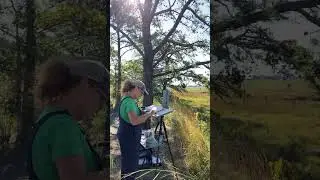 Plein Air Set Up #painting #acrylicpainter #art