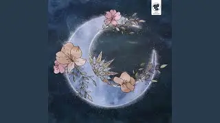 Seeing Beauty in Everything
