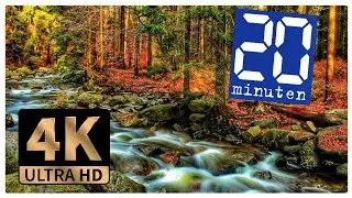 20 Minuten | plätschernder Bach 4K | atmospheric nature sounds