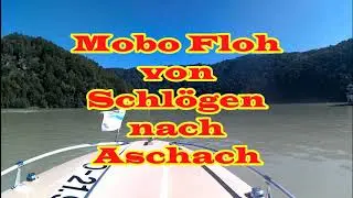 #10 Mit dem Motorboot auf der Donau von Schlögen nach Aschach