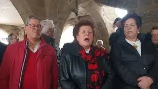 Concertinas do toural guimarães 