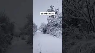 Boni chitral #foryou #ytshorts #foryou #ytshorts #love #snow #chitralsnow #snowfall #snowboarding