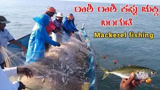 Ultimate Fishing Challenge:Mackerel fishing Expedition!