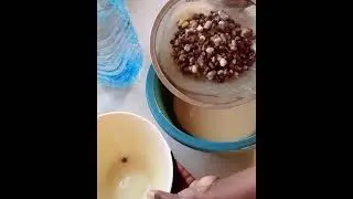 Sumo de malambe|| Fruto de embondeiro|| Canal Moçambicano