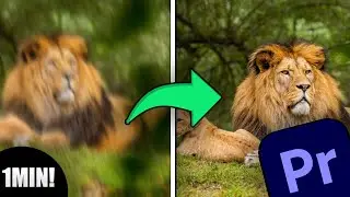 Como Estabilizar V&iacute;deo no Premiere Pro [2024]