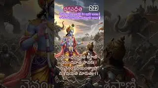 Bhagavad Gita-2.23: Nainam chindanti shastrani nainam dahati pavakah .na chainam kleadayantyapo na soshayati marutah .