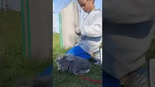 Park - Speeltuin - met Snoepie ons konijntje Angelmar & Kingemar