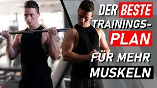 Sofort Muskeln aufbauen mit diesem Trainingsplan!