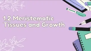 SPM Biology F5 Meristematic Tissues and Growth Part 1 (1.2)