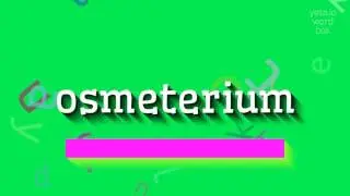 OSMETERIUM - HOW TO SAY OSMETERIUM?