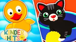 Das Badezeit Lied + Kleines Katzchen Mau | Kinderhits | Die Besten Kinderlieder & Kinder Musik