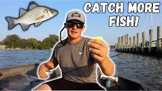 The Best Bait to Catch White Perch! (Chesapeake Bay Fishing!)
