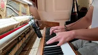 Nils Frahm - My Friend The Forest (Piano Cover)