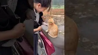 Mom introduced the monkey to the cat.🐒🐈