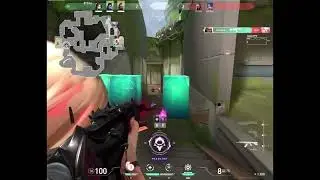 Reaver 4k