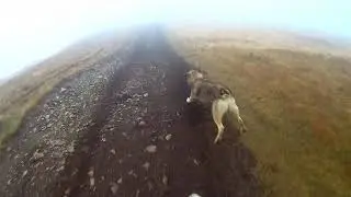 Romania 2019 | Varful Tarcu #5 RAW