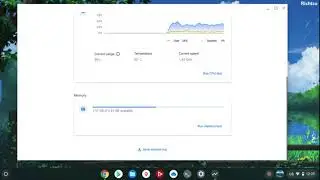 How to open Diagnostic Data - Chrome OS