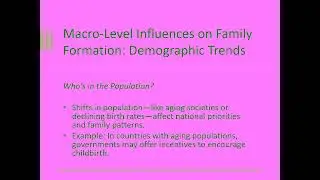 LQ 13 Micro and Macro Factors in Family Formation
