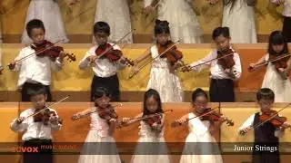 Edvox Music School Junior Strings