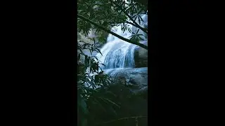 Hidden waterfalls in Wayanad