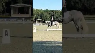 Two Socks First Show USEA Starter Dressage Test