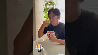 Kitchenaid Shave Ice Attachment
