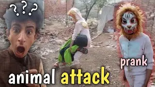 Animal attack 😱 Zainab par hamla houa😫 prank of shahnawaz 