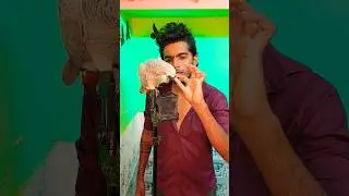 cute Bird  in grayparrot... #entertainment #shokingfacts #birdbrains #emotional #birdwatching #yt
