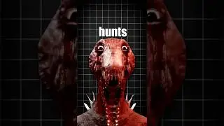 INCYDENT Z GRINEM!