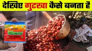 इस तरह फैक्ट्री में बनाया जाता है गुटका | Pan Masala making Process | wanted TV
