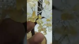 citrine tree are available