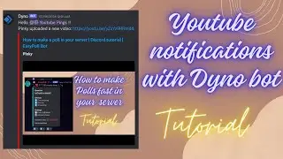 Youtube Notification in your discord server | Dyno Bot | Discord tutorial