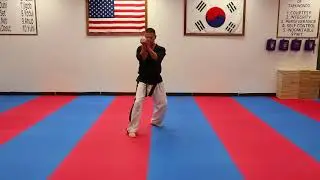Ship Jin Poomse Rear View-5th Dan Black Belt