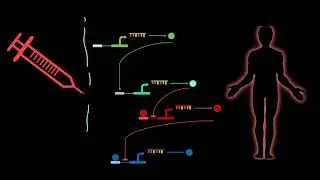 Course 0: Lesson 0: Introduction to Biomodeling