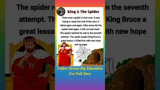 𝑲𝒊𝒏𝒈 & 𝑻𝒉𝒆 𝑺𝒑𝒊𝒅𝒆𝒓 | Short Stories | English Stories | Dream Big Education Story Time