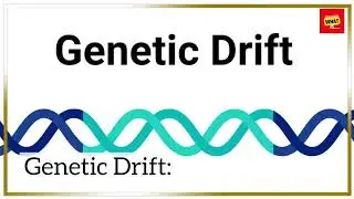 What is Genetic Variation, and How Does it Impact Evolutionary Processes