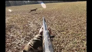 DEER HUNTING W/ DOGS (KILLSHOT) - (THANKSGIVING MORNING AND 11-27-2021)