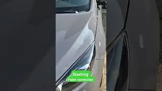 #amsr #detailing #satisfying #shortvideo #subscribe #fordst #shorts #short #summer #carshow