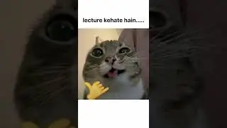 #backbenchers #exam #study #laugh #comedy #funny